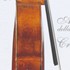 1712VioloncelloDavidoff b.jpg