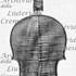 1714cViolino2 c.jpg