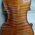 1715Violino3 c.jpg