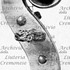 1715ViolinoEmpereur d.jpg