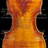 1717cViolino2 c.jpg