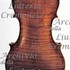 1721cViolino c.jpg