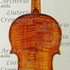 1721ViolinoArchinto c.jpg