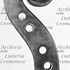 1723ViolinoCadiz d.jpg