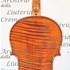 1725Violino c.jpg