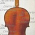 1726Violino c.jpg