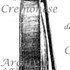 1729cViolinoDefauw b.jpg