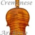 1731cViolinoPiel c1.jpg