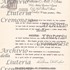 1731cViolinoPiel f1.jpg