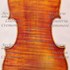 1732-34ViolinoPerkin c1.jpg