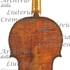 1732cViolino c.jpg