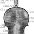 1732ViolinoColNolloth c.jpg