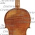 1739ViolinoEbersholt c.jpg