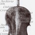 1740Violoncello c.jpg