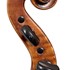 1750cViolino7 d.jpg