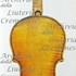 1750cViolino c.jpg