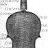 1750Violino2 c.jpg