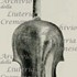 1767Violino c.jpg