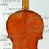 1768Violino c.jpg