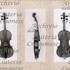 1770-72vViolino f1b.jpg