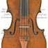 1770cViola2 a.jpg