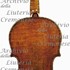 1770cViolino c.jpg