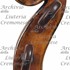 1773Violino2 d.jpg