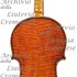 1774cViolino c.jpg