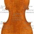 1775Violino c.jpg