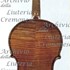 1780cViola2 c.jpg