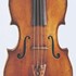 1780Viola a.jpg