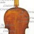 1780Violino c.jpg