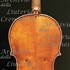 1781cViolino c.jpg