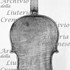 1781Viola c.jpg