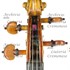 1784Violino d1.jpg