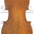 1785cViolino c.jpg