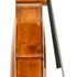 1785cVioloncello b.jpg 1785cVioloncello b.jpg