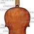 1788cViolino c.jpg