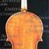 1795cViola c.jpg