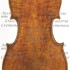 1795cViola c.jpg