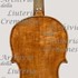 1795cViolino c.jpg