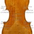 1796cViolino c.jpg