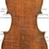 1800cViolino c.jpg