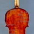 1806Violino c.jpg