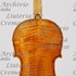 1806Violino c.jpg