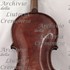 1807Viola c.jpg