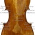 1815cViolino c.jpg