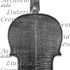 1831Violino c.jpg