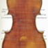 1840cViolino2 c.jpg