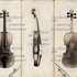 1847Violino3 f1.jpg